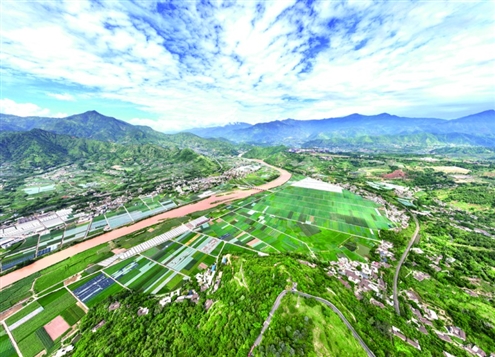 2025年7月9日拍摄的四川省攀枝花市米易县撒莲镇安全村高标准农田(无人机照片)。新华社发